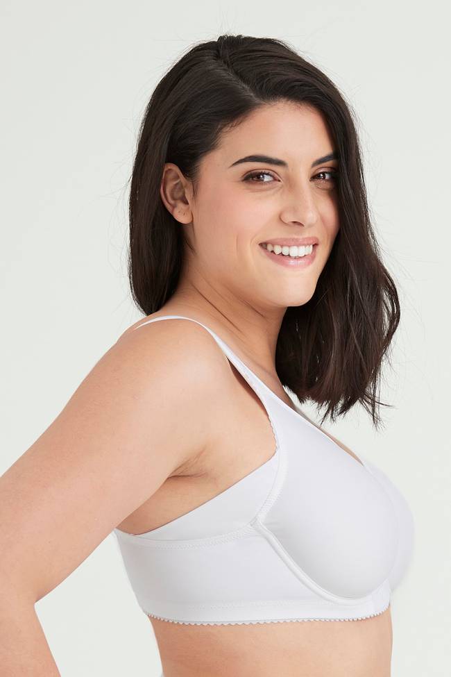 Stay Fresh side wing